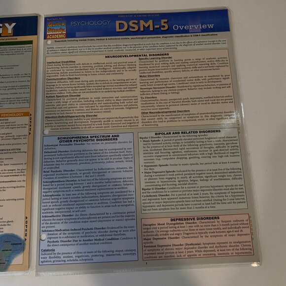 Set of 2 Psychology Quick Study Guides DSM-5 & General Overview - Picture 4 of 5